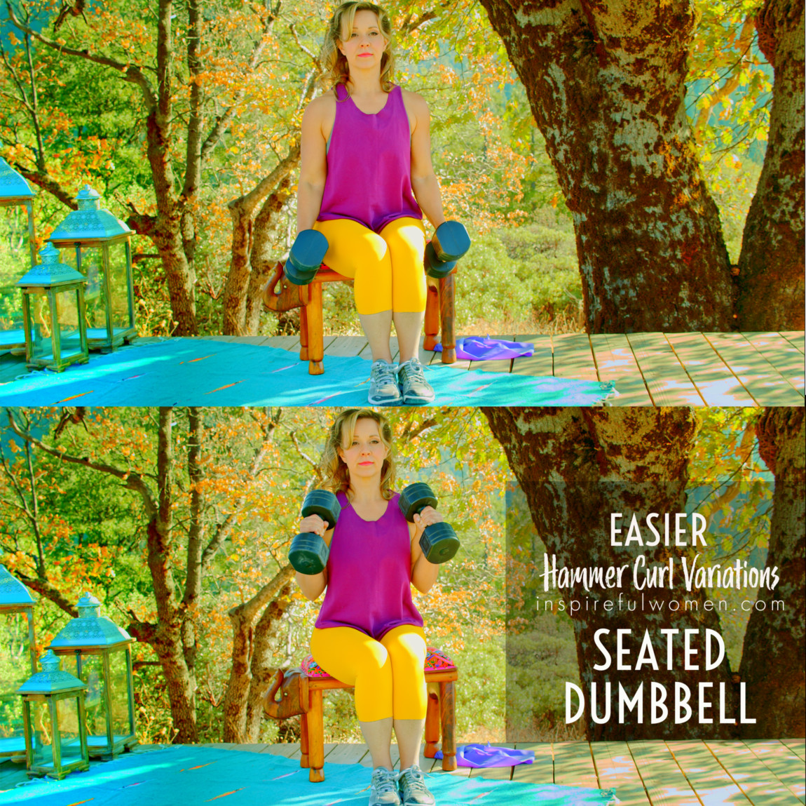 seated-dumbbell-hammer-curl-exercise-variation-easier