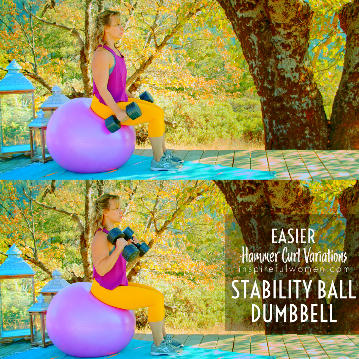 stability-ball-dumbbell-neutral-grip-curl-variation-easier