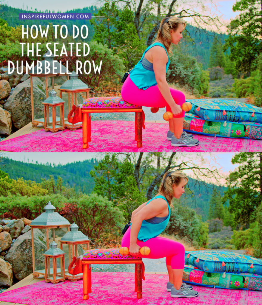 Seated Dumbbell Row - Inspireful Women