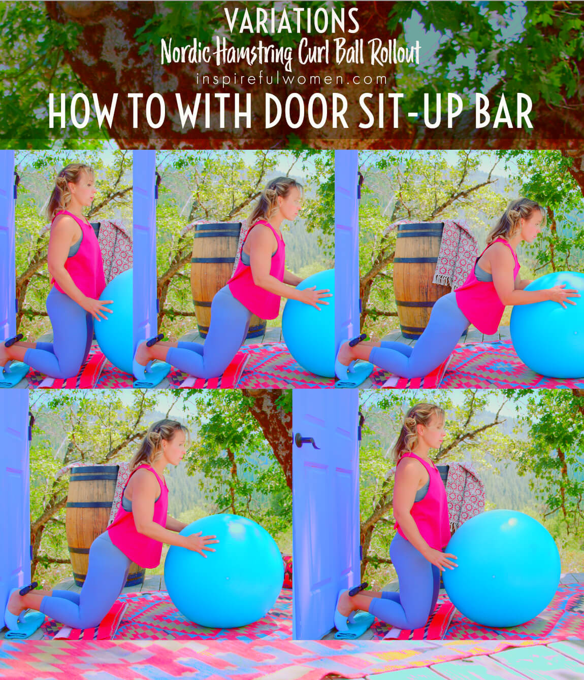 with-door-sit-up-bar-nordic-hamstring-curl-ball-rollout-at-home
