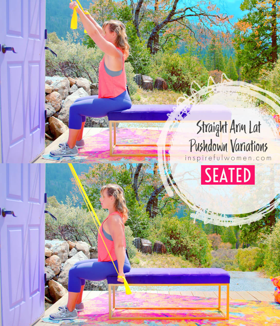seated-straight-arm-standing-lat-pushdown-back-exercise-variation