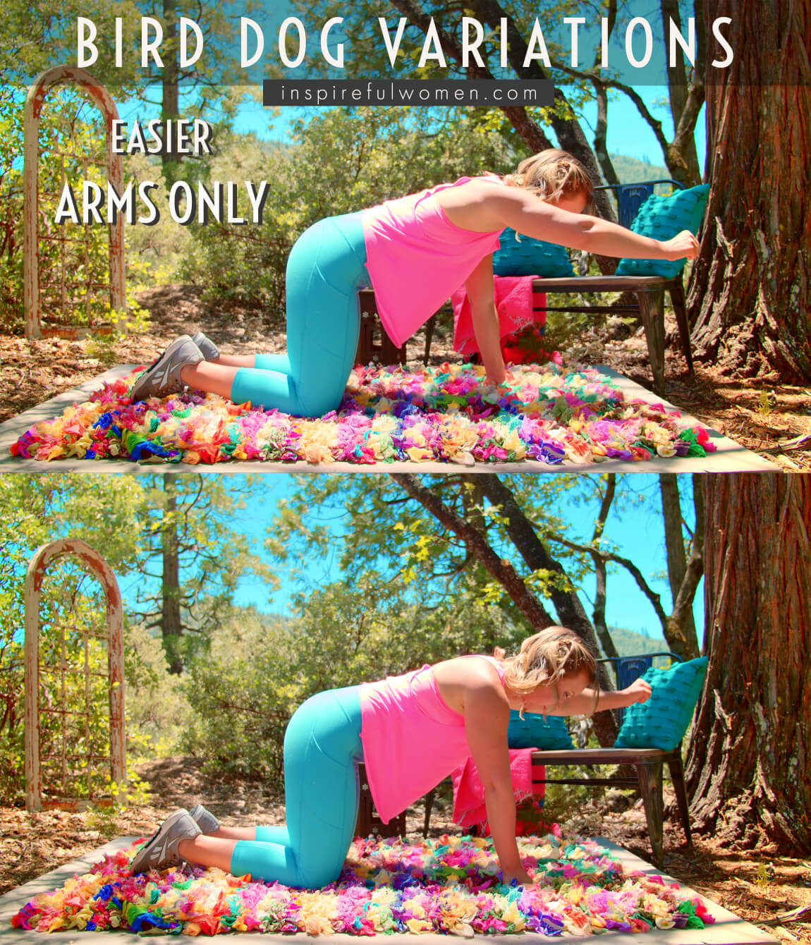 arms-only-bird-dog-bodyweight-back-extensor-muscle-core-exercise-easier