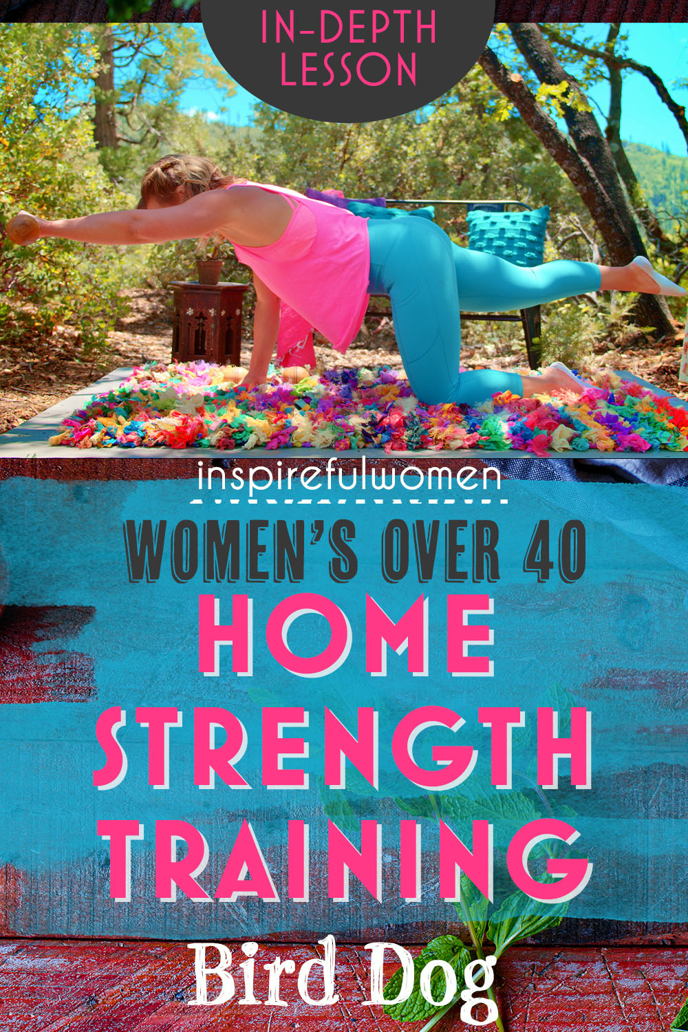 bodyweight-bird-dog-core-exercise-back-extensor-muscles-strength-home-exercise-women-40+