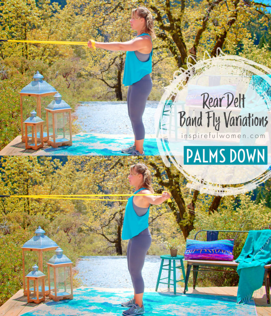 Rear Delt Band Fly – Wall Anchored - Inspireful Women