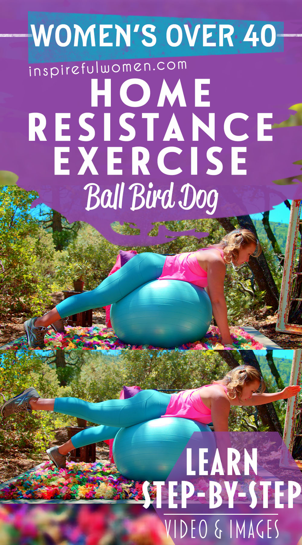 bird-dog-stability-ball-supported-back-extensor-home-core-strength-workout-women-over-40