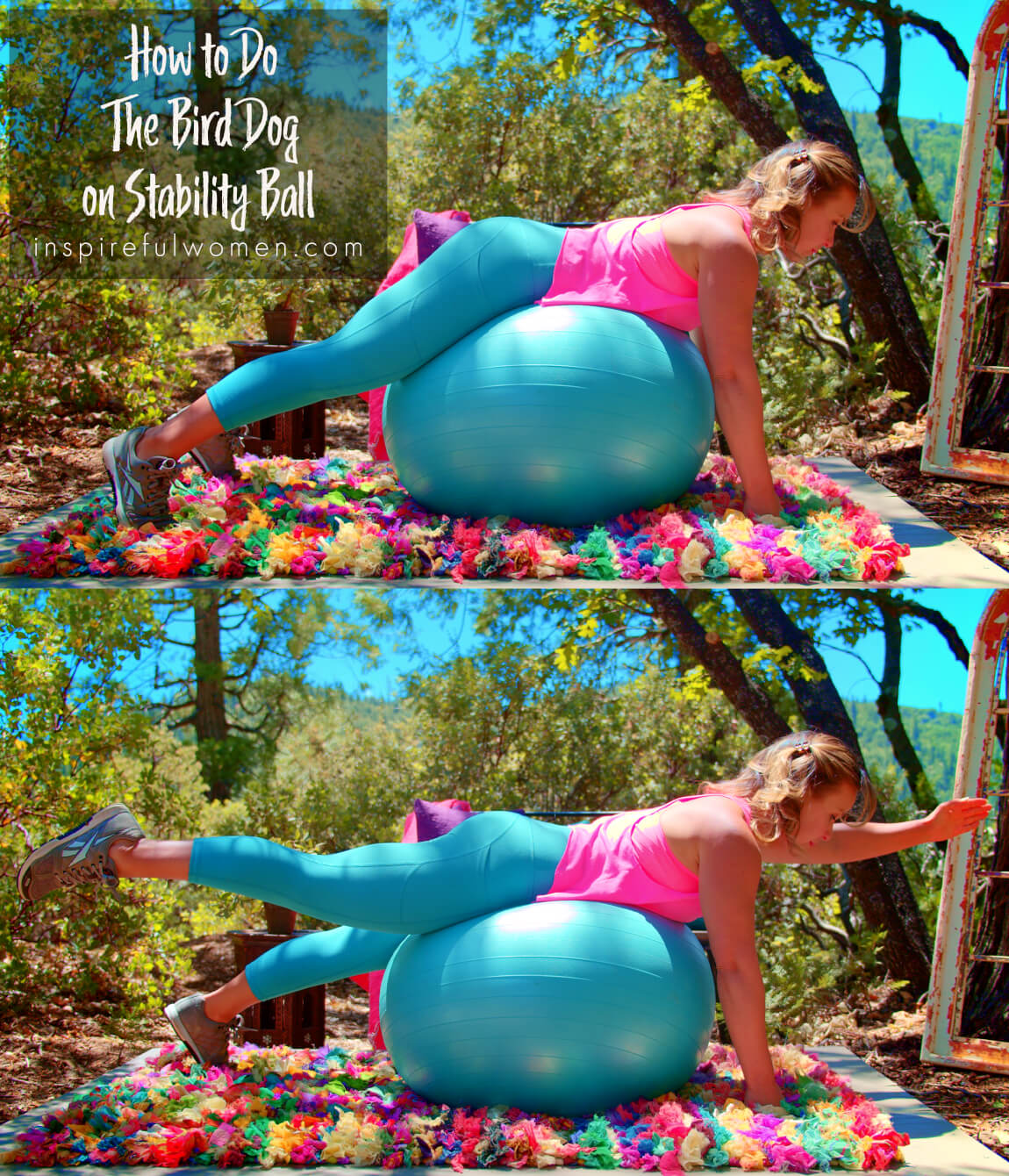 how-to-bird-dog-stability-ball-supported-back-extensor-home-core-workout-proper-form