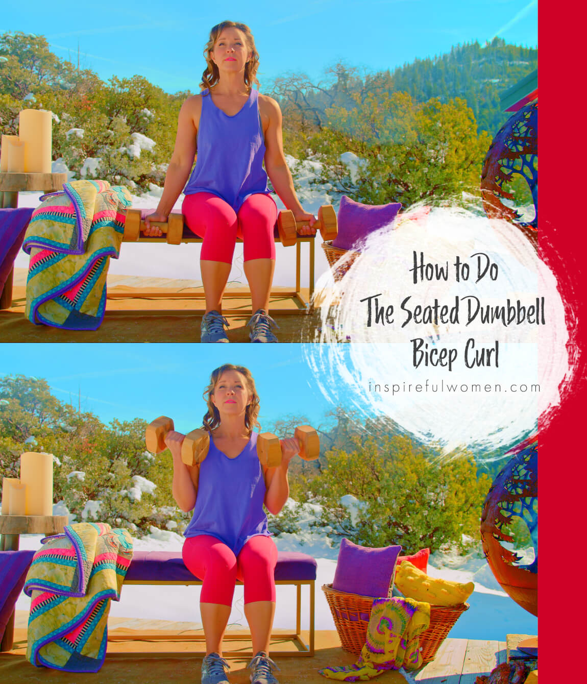 how-to-seated-dumbbell-bicep-curl-supinated-arm-jiggle-exercise-proper-form