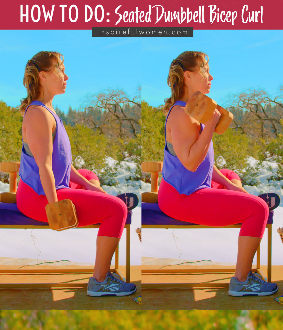 how-to-seated-dumbbell-bicep-curl-supinated-home-arm-exercise-proper-form